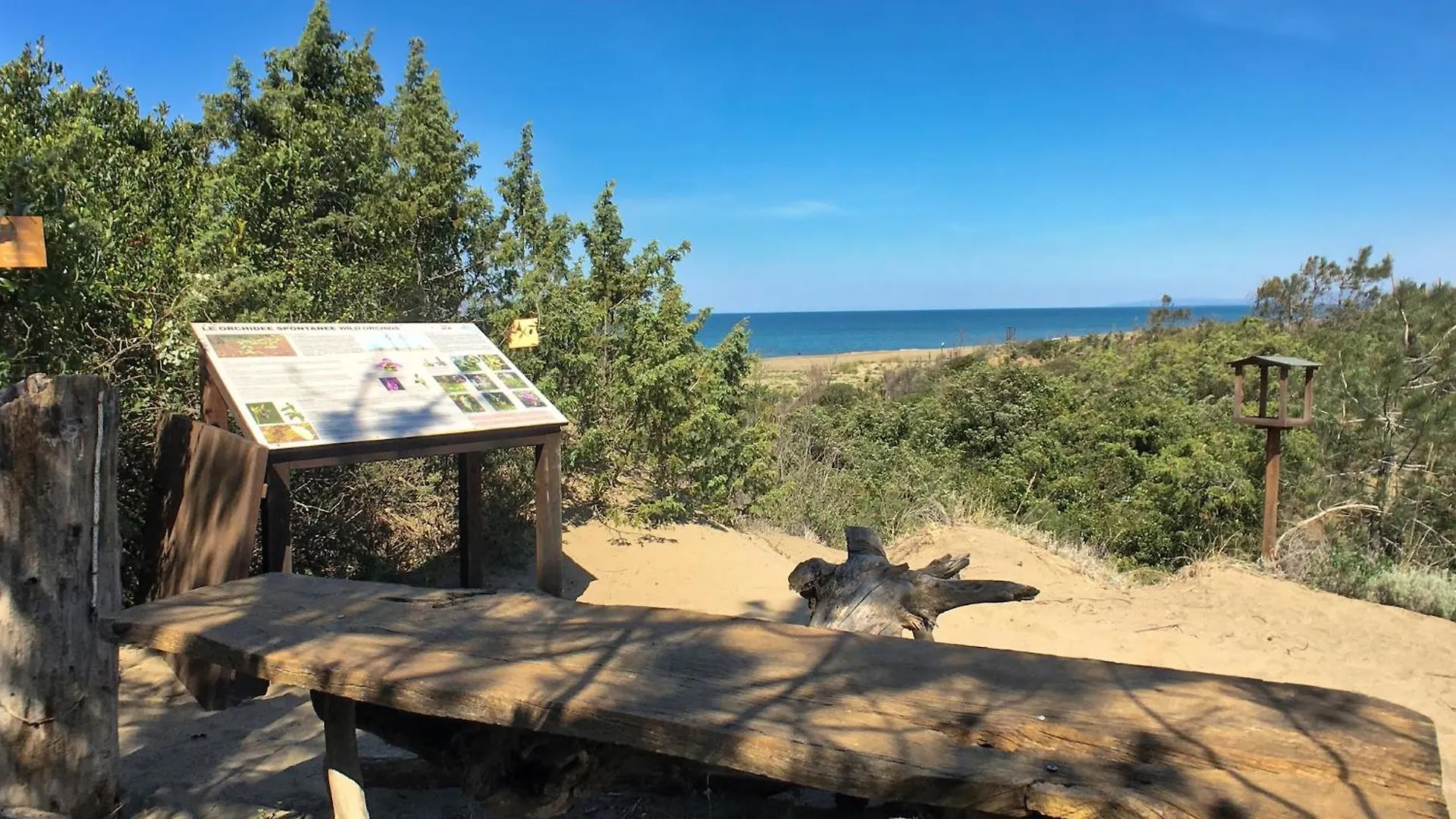 아파트 Luxurious Holiday Home In Tuscany Near The Beach 마리나 디 카스타녜토 카르두치
